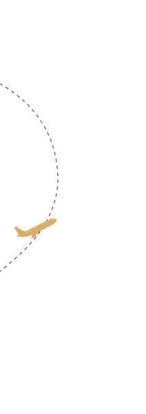Flight Bg