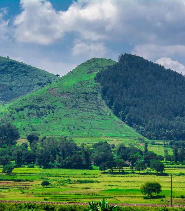 Araku Valley