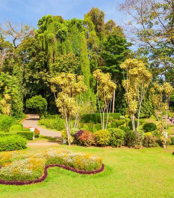 Bakau's Botanical Gardens