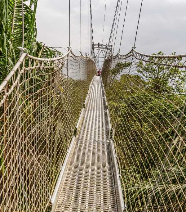 Nigeria Canopy walk - Lekki