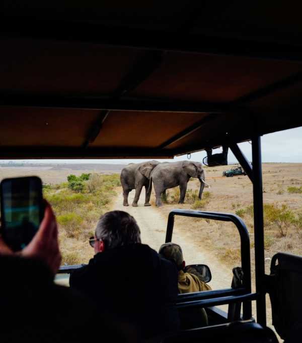 Cascavelle - Safari Adventures