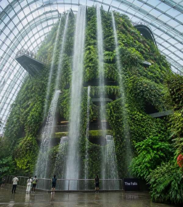 Cloud Forest Waterfall