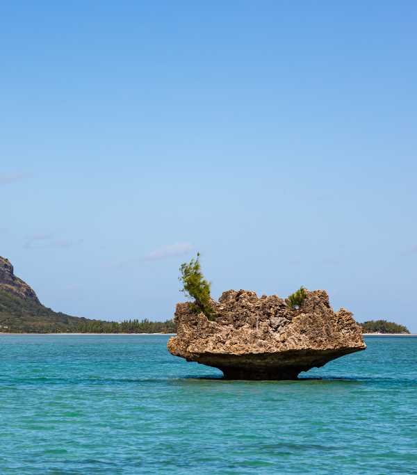 Crystal Rock