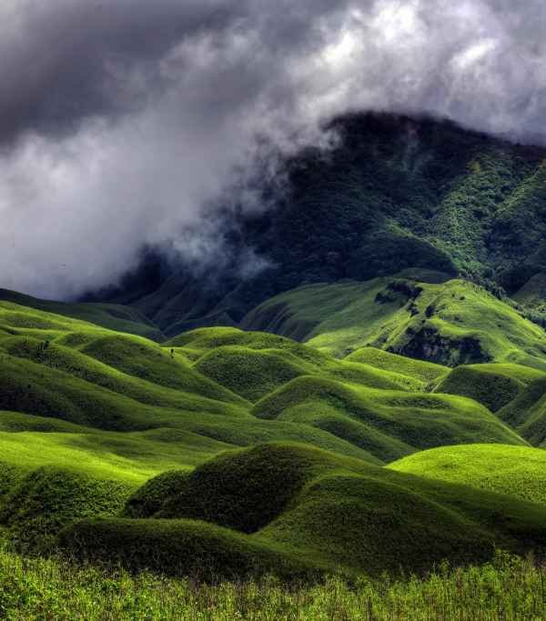 Nagaland Dzukou Valley