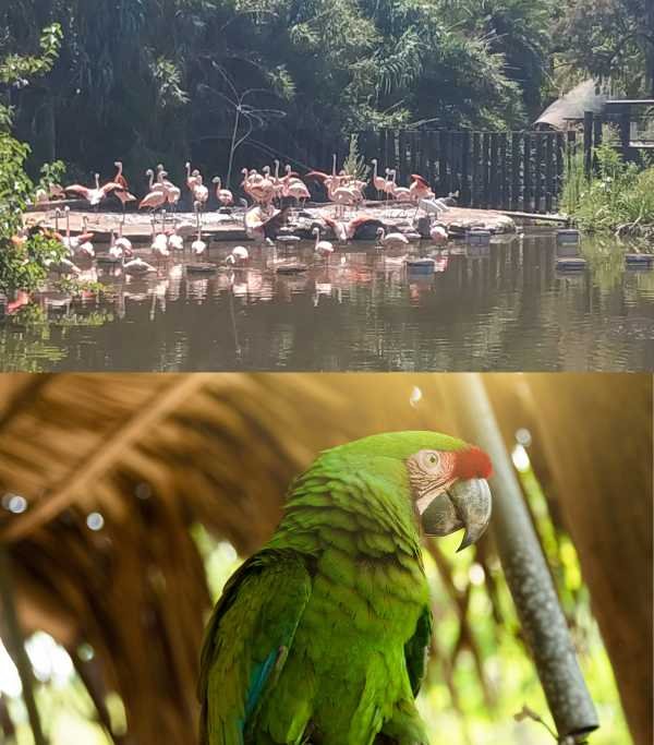 Eco Park