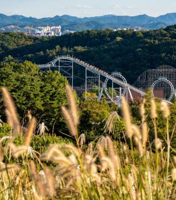 Everland Theme Park
