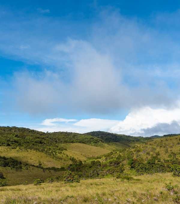 Horton Plains Worlds End
