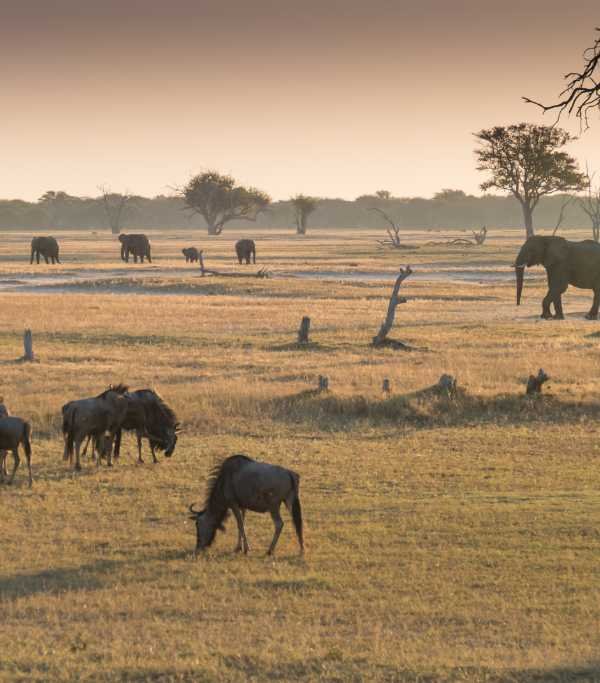 Hwange National Park