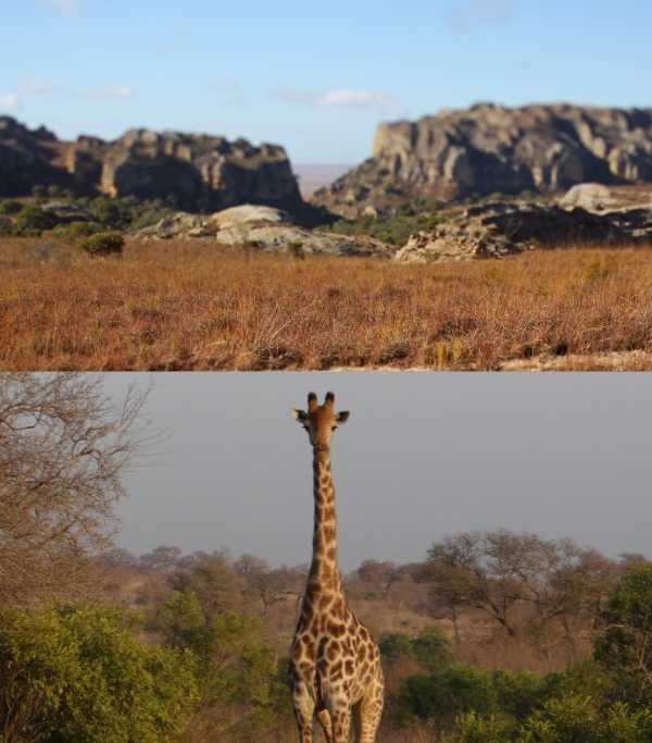 Madagascar Isalo National Park