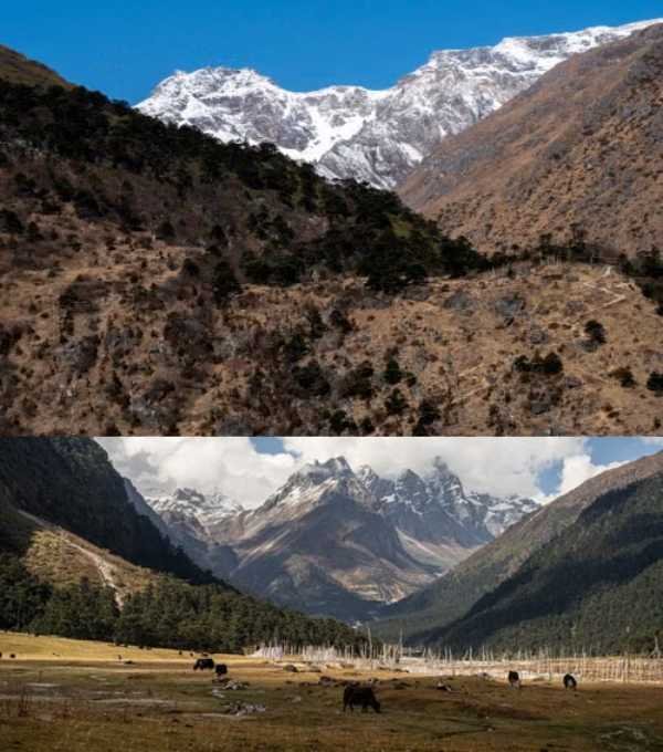 Bhutan Jigme Dorji National Park