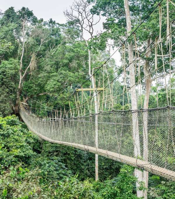 Kakum National Park