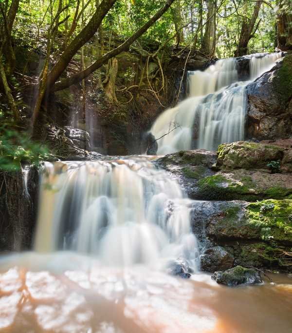 Karura Forest Waterfall