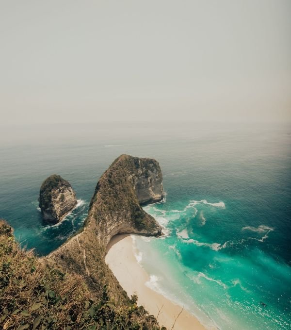 Kelingking Beach Nusa Penida T-Rex