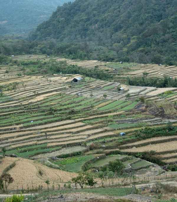 Nagaland Khonoma Village