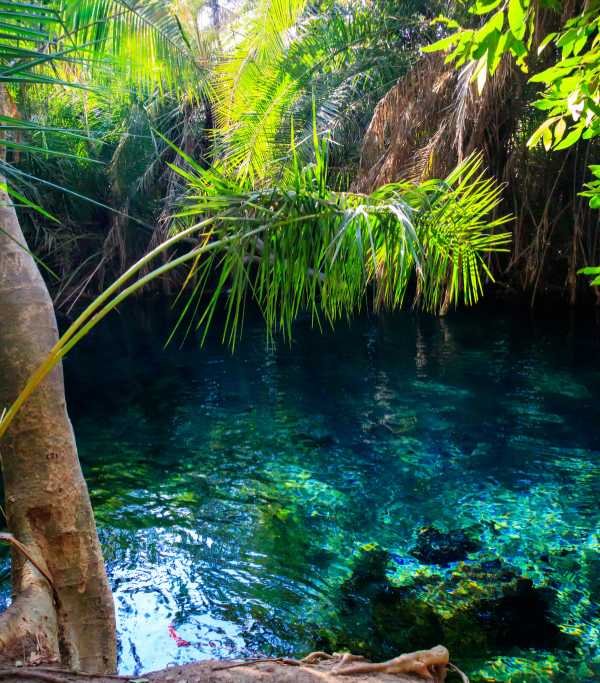 Kikuletwa Hotsprings