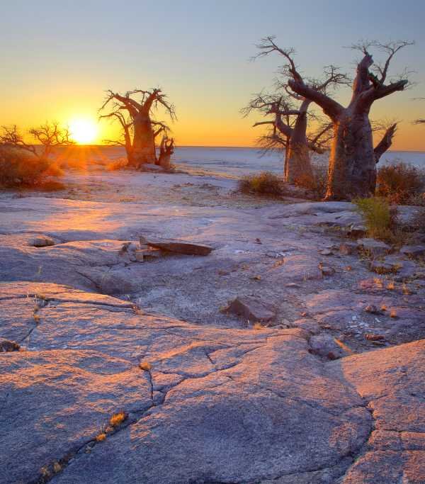 Botswana Kubu Island
