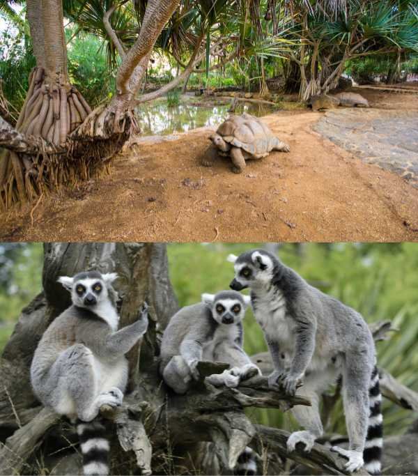 La Vanille Nature Park
