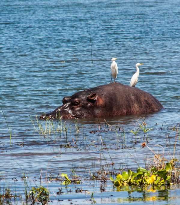 Lake Kariba