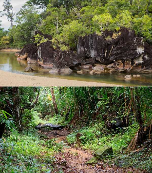 Madagascar Landscape of Masoala