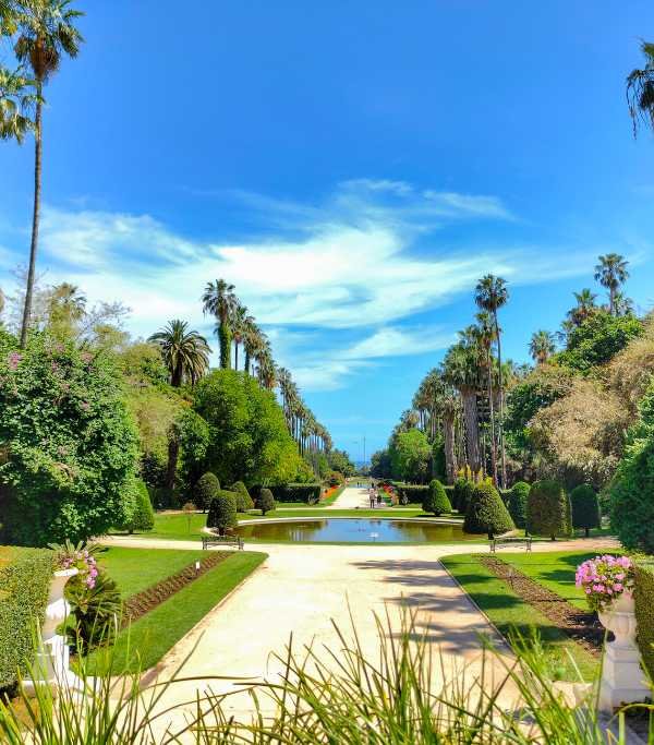 Le Jardin d'Essai du Hamma