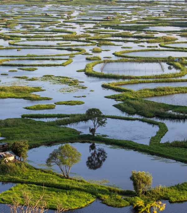 Manipur Loktak Lake