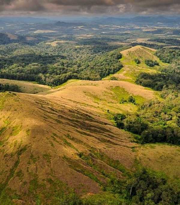 Gabon Lopé Reserve
