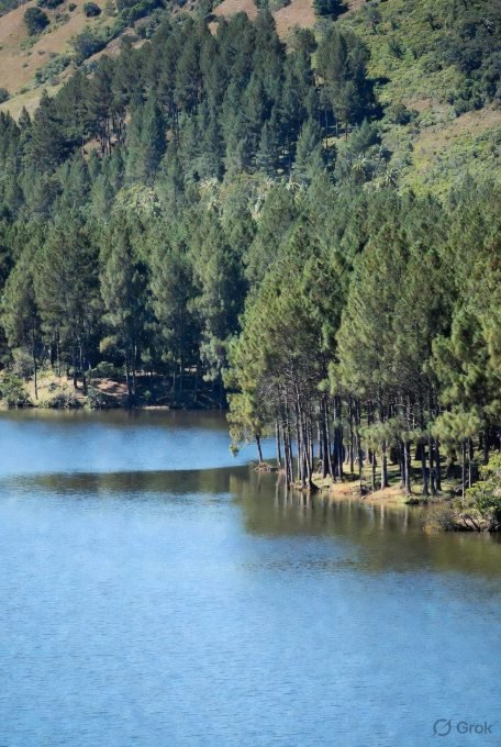 Mare aux Vacoas Reservoir