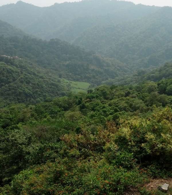 Morni Hills