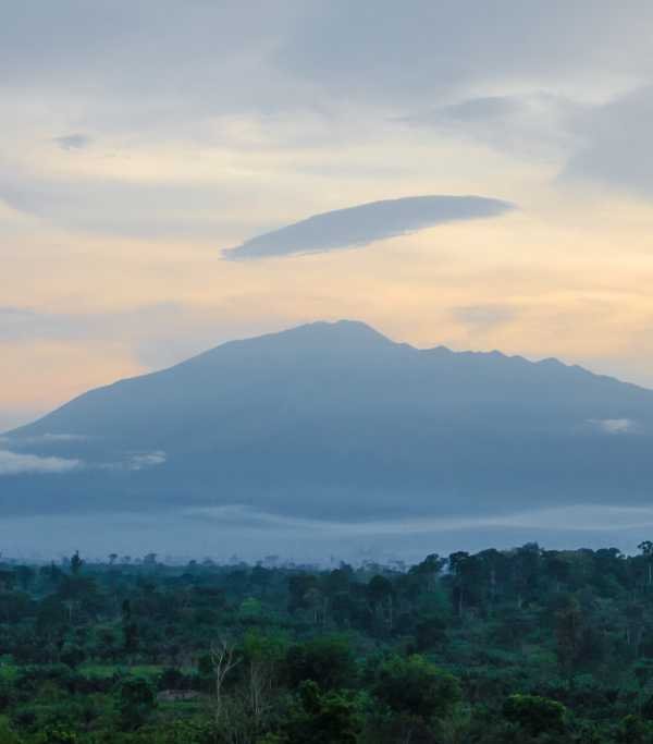 Mount Cameroon