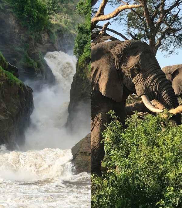 Murchison Falls National Park