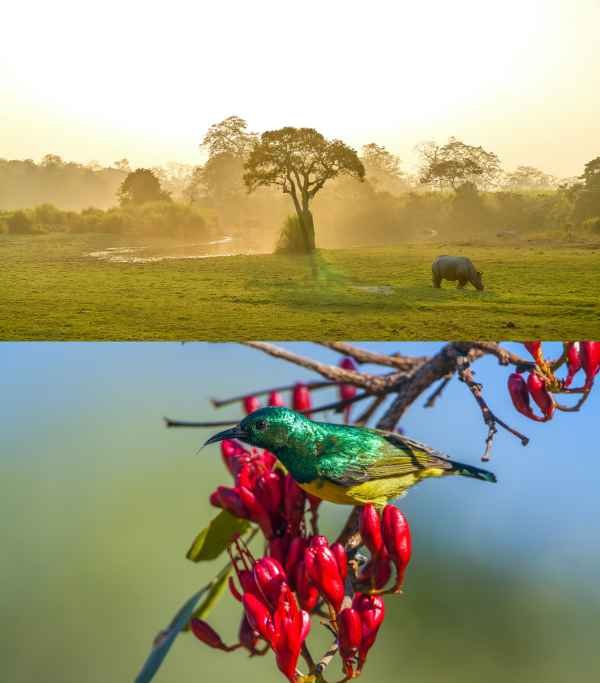 Namdapha National Park