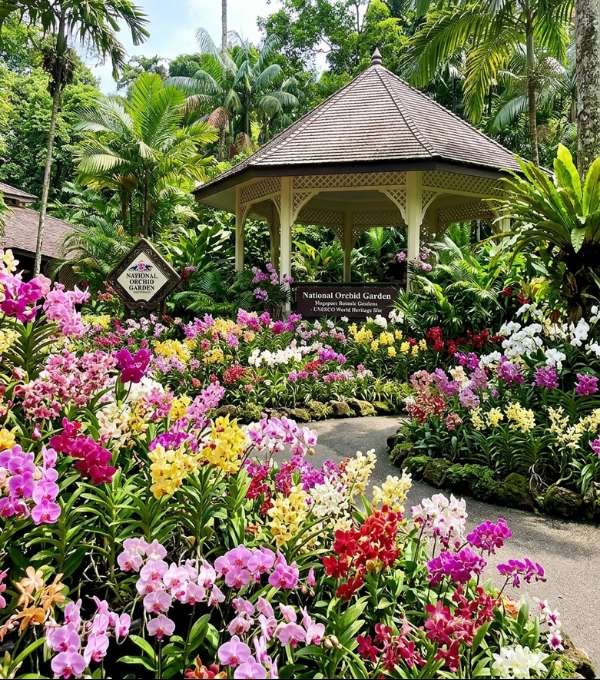 National Orchid Garden