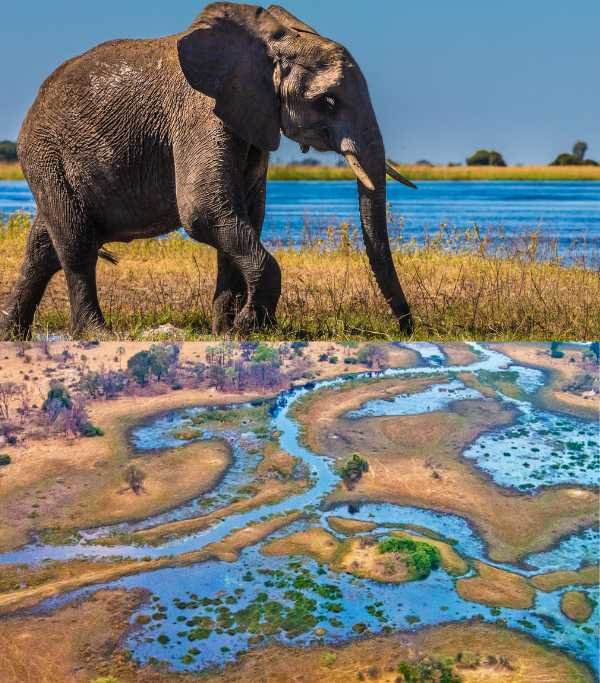 Botswana Okavango Delta