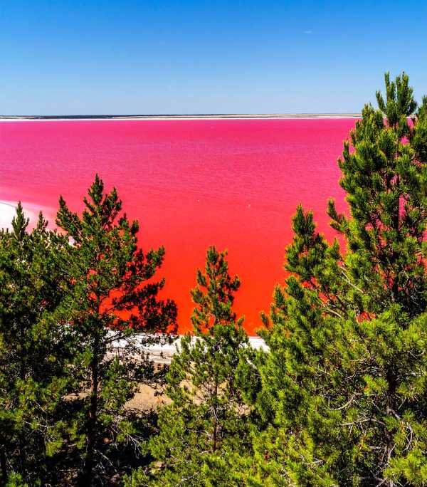 Senegal Pink Lake