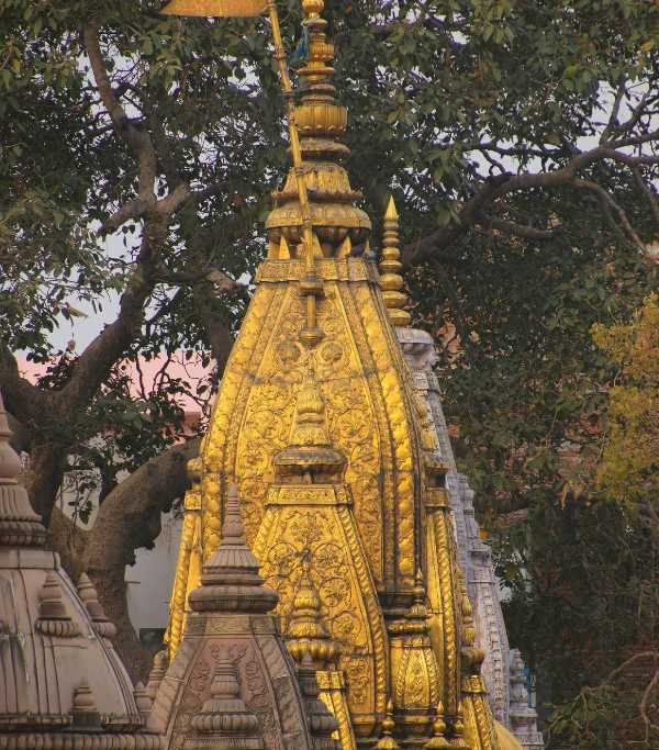 Kashi