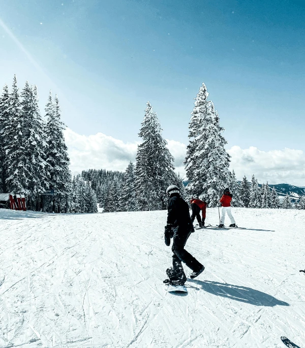 Skiing & Snowboarding