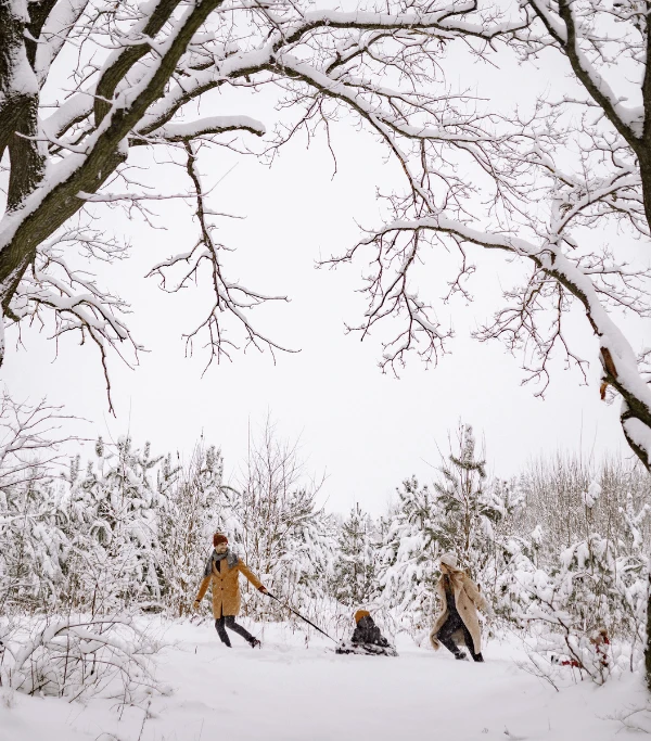 Sledding, Tubing, or Tobogganing