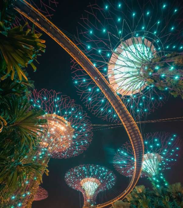 Super Tree Grove