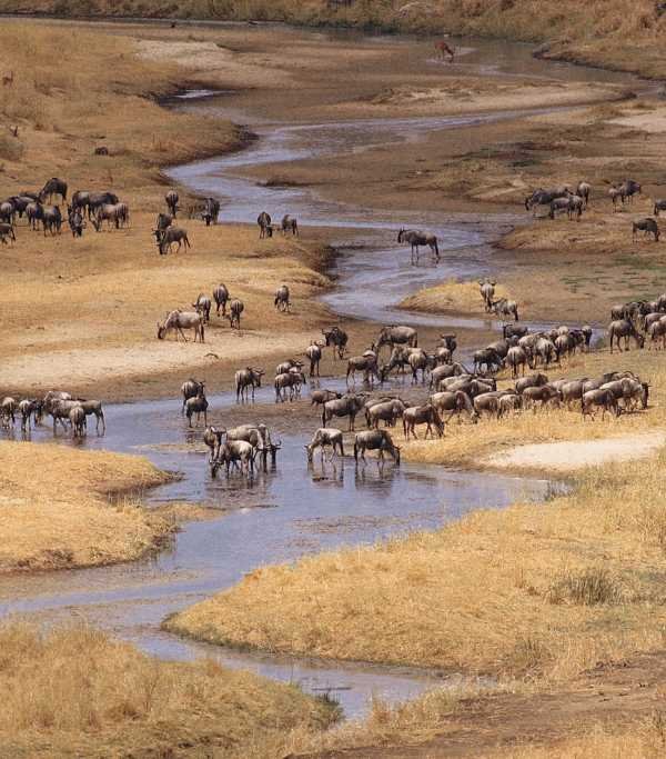 Tarangire National Park