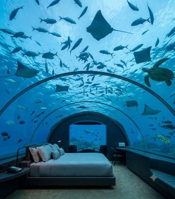 The Muraka - Underwater Suite