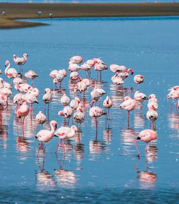 Namibia Walvis Bay