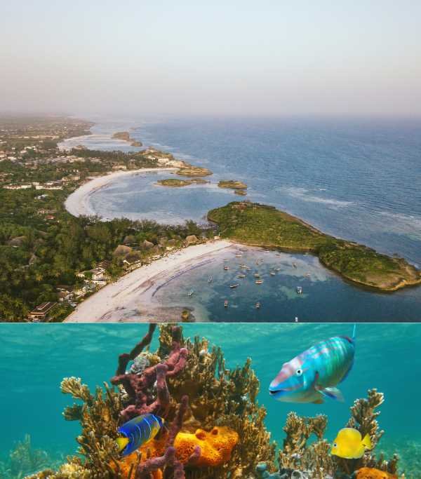 Watamu Beach Ariel View
