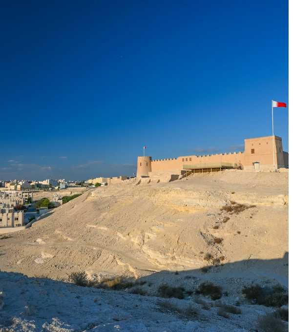 Riffa fort