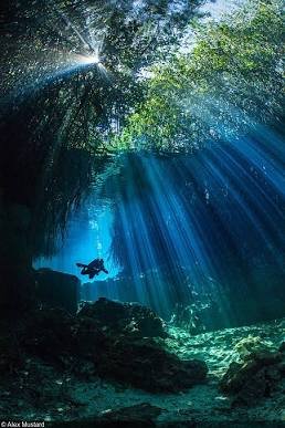 scuba diving