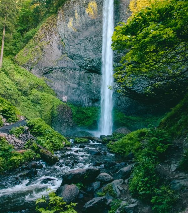 Grenada Annandale Falls