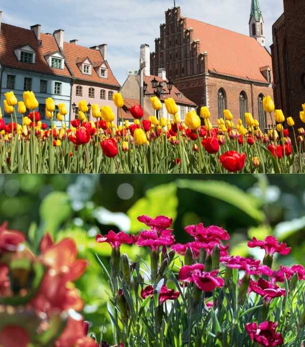 Botanical Garden (Riga)