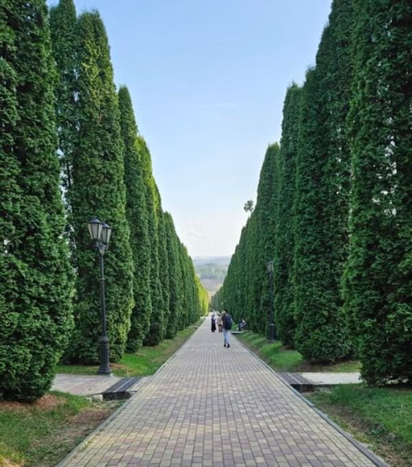 Moldova Dendrariu park