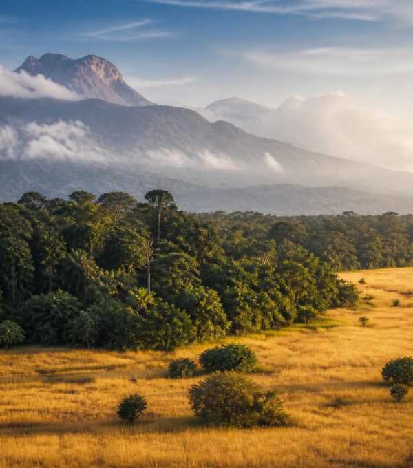 Gabon Golden Savanna Grasslands