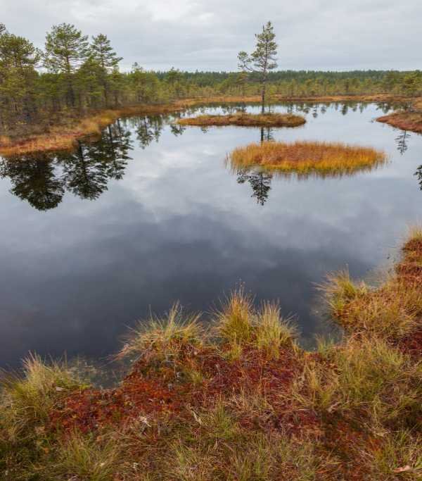 Lahemaa National Park