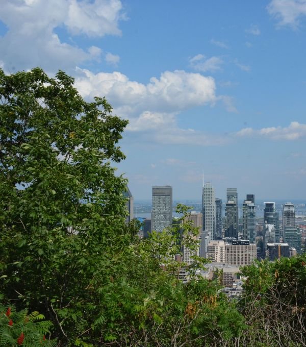 Canada Mount Royal Park